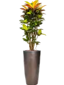 6SEPPA370_2