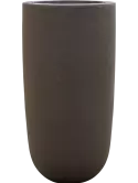 6SRNBAM81