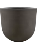6SRNBOM77