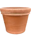 6TDBA7658