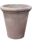 6TDBGRI50