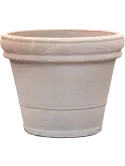 6TDBGRI56