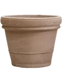 6TDBGRI66