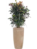 6TERPA700_2