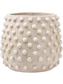 6TEXPMB45