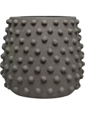 6TEXPMT02