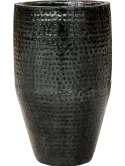 6TH173116