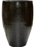 6TH173117