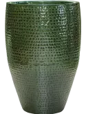 6TH173127