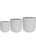 6TS162215