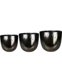 6TS166480