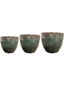 6TS174120