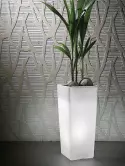 6VECLLG02_2