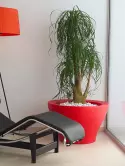 6VONCENB3_1