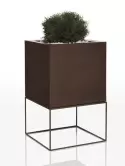 6VONCUB02_1