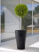 6VONCURB2_1