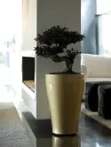 6VONCURB2_2
