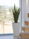 6VONCURB2_3