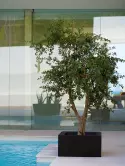 6VONLANB1_1