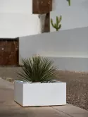 6VONLANB3_2