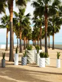 6VONMARB1_2