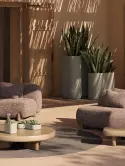 6VONMILN5_2