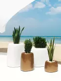 6VONORCB5_1