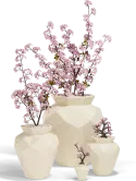 6VONORI02_2