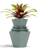 6VONORI06_1