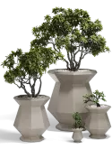 6VONORI12_2