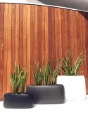6VONORJB2_1