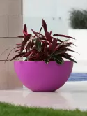 6VONSFEB2_1