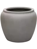 6WAJRO050