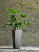 6ZWKKU940_1