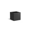 AF6.1