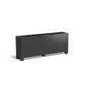 AFP24