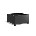 AFP3.1