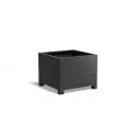 AFP5.1