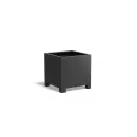 AFP6.1
