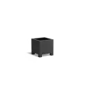 AFP8