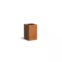 CA10