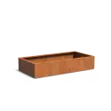 CA20.2
