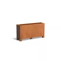 CAP24.1