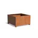 CAP8