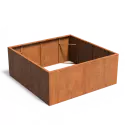 CAW1.1