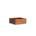 CAWL5.3