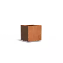 CAWL7