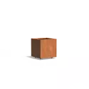 CAWL8