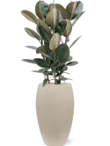 CC0010769