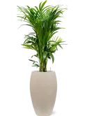 CC0010802